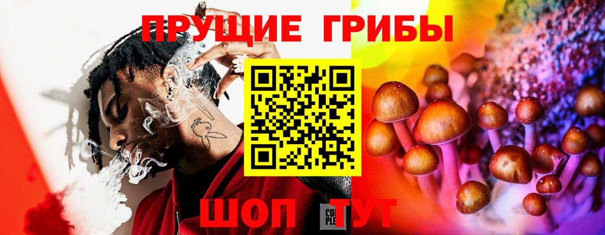 Артём  Псилоцибиновые грибы мицелий  наркотики  Вход с VPN 