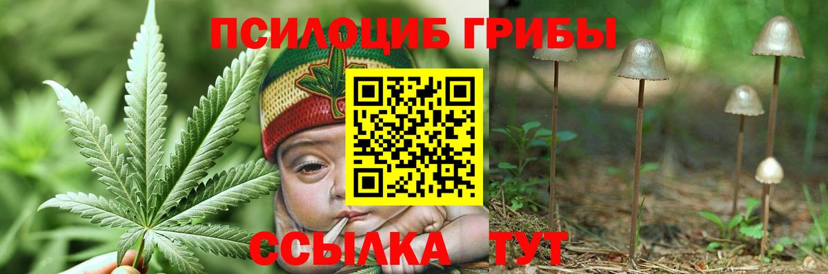 Галлюциногенные грибы ЛСД Артём