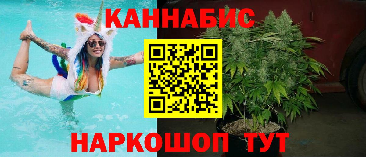 Бошки марихуана сатива  Канабис Amnesia  Артём  Каннабис планчик  Бошки Шишки AK-47  Вход с VPN 